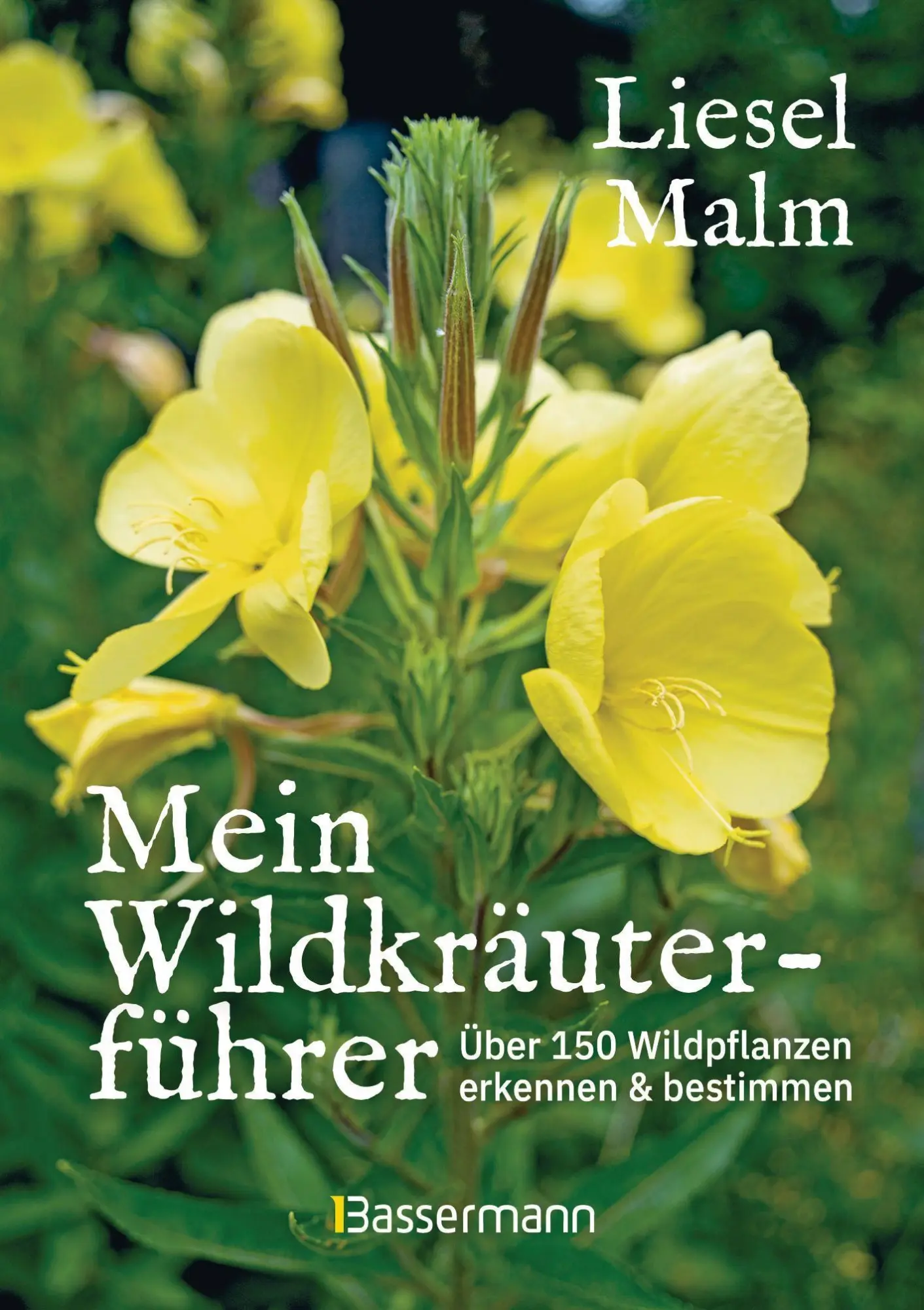 Cover: 9783809446231 | Mein Wildkräuterführer. Über 150 Wildpflanzen sammeln, erkennen &...